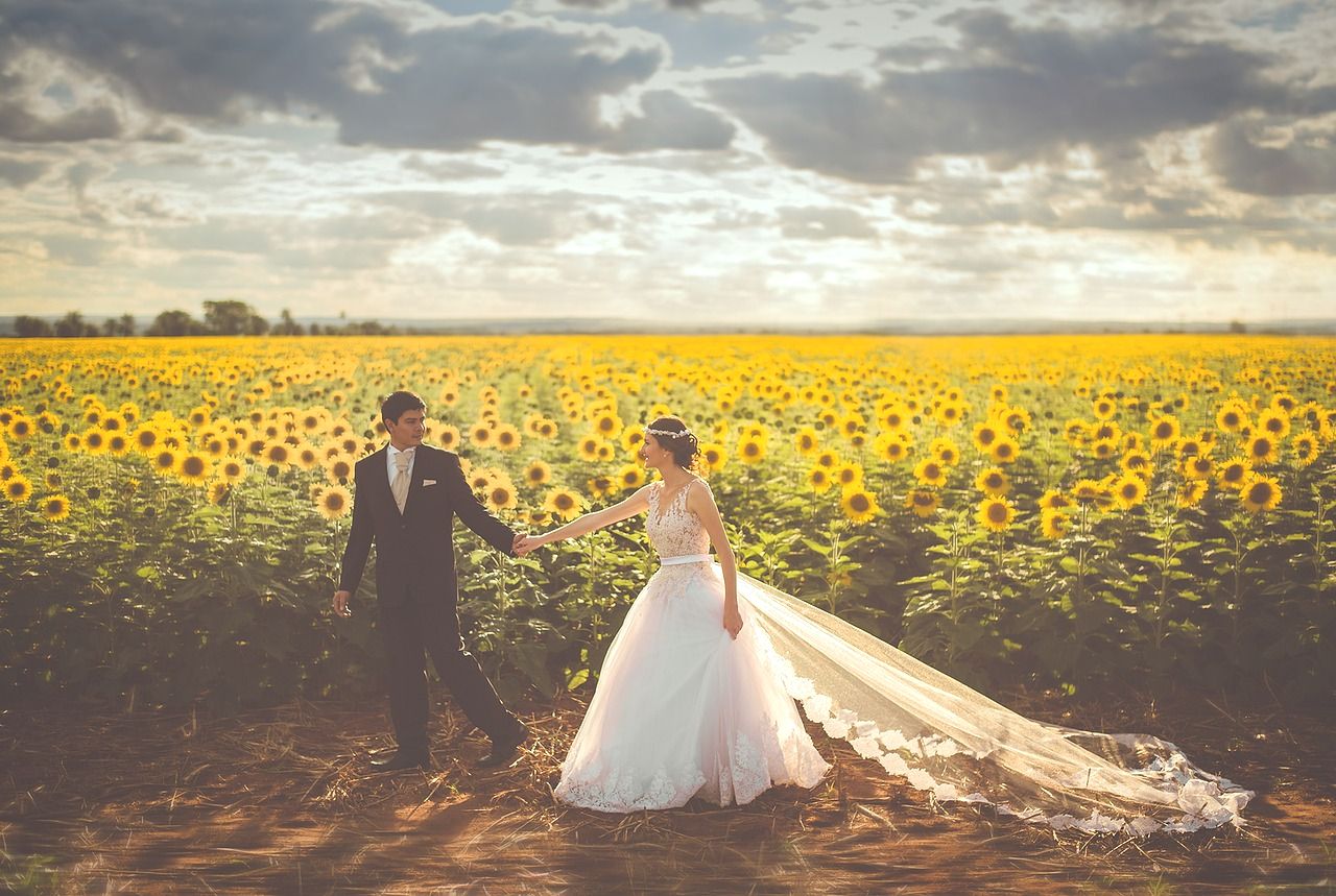 un film de mariage dans les fleurs jaunes